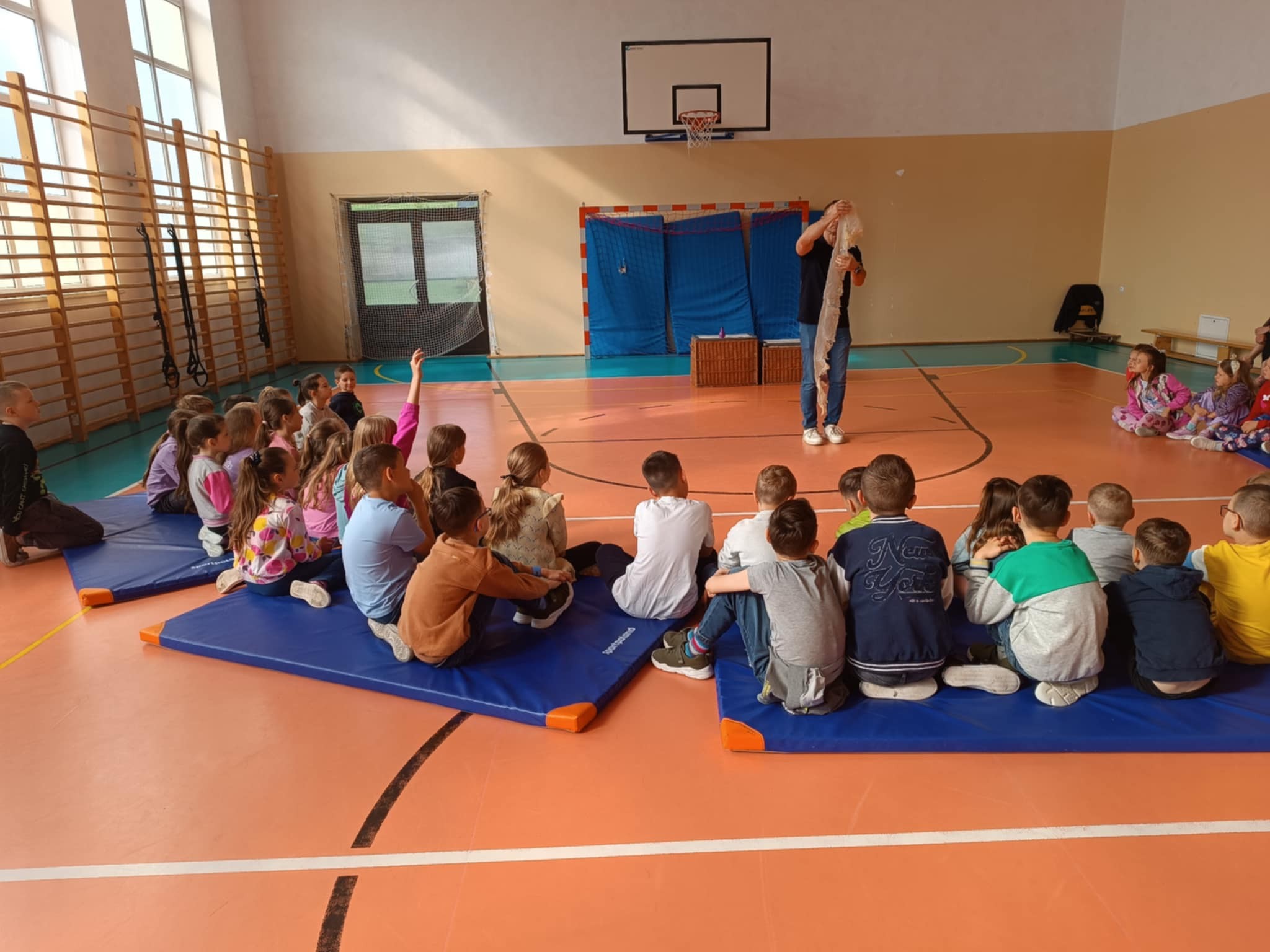 Pokaz gadów
