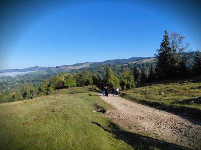 20260928_084627.jpg