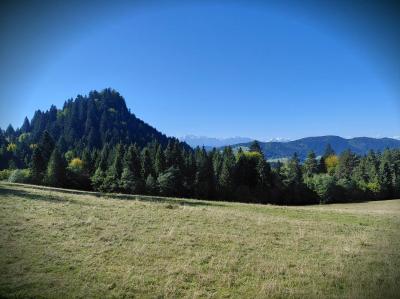 20260928_110358.jpg